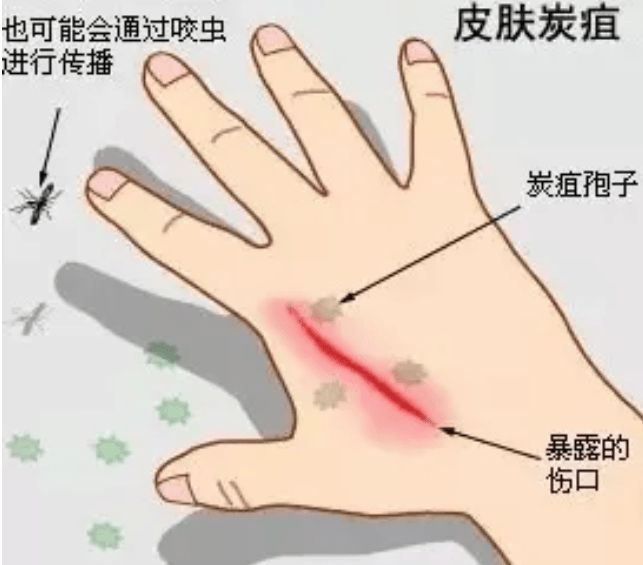 微信圖片_20240801095625.png
